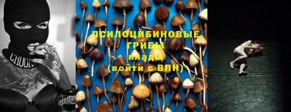 герыч Бронницы