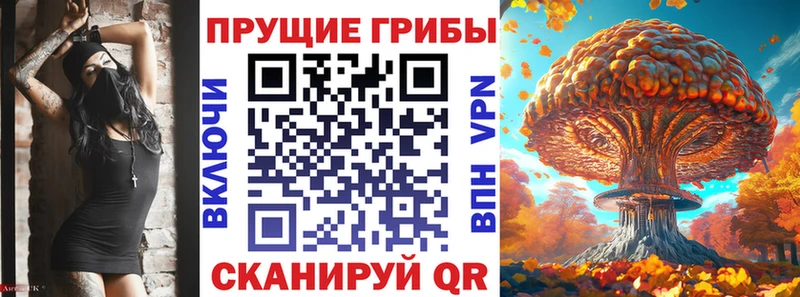 Псилоцибиновые грибы Psilocybine cubensis  Санкт-Петербург 